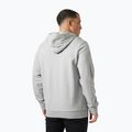 Felpa da uomo Helly Hansen HH Logo Hoodie grey/melange 2