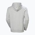 Felpa da uomo Helly Hansen HH Logo Hoodie grey/melange 6