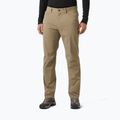 Pantaloni da trekking da uomo Helly Hansen Holmen 5 Pocket pebble