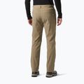 Pantaloni da trekking da uomo Helly Hansen Holmen 5 Pocket pebble 2