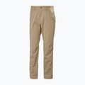 Pantaloni da trekking da uomo Helly Hansen Holmen 5 Pocket pebble 5