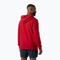 Felpa da uomo Helly Hansen Core Graphic Hoodie red 2