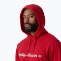 Felpa da uomo Helly Hansen Core Graphic Hoodie red 3