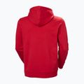 Felpa da uomo Helly Hansen Core Graphic Hoodie red 6