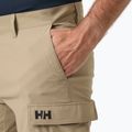 Pantaloncini da vela da uomo Helly Hansen QD Cargo 11" pebble 3