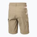 Pantaloncini da vela da uomo Helly Hansen QD Cargo 11" pebble 6