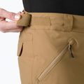 Pantaloni da sci da uomo Helly Hansen Sogn Cargo elmwood 3