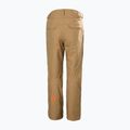 Pantaloni da sci da uomo Helly Hansen Sogn Cargo elmwood 7