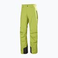 Pantaloni da sci da uomo Helly Hansen Legendary Insulated pulse green