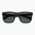 Occhiali da sole Polaroid PLD 2155/S da uomo marrone opaco avana/verde polarizzato 4