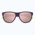 Occhiali da sole Polaroid PLD 2156/S viola/oro rosa multistrato polarizzati 4