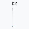 Bastoni da sci HEAD Worldcup Rebels Carbon white