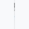 Bastoni da sci HEAD Worldcup Rebels Carbon white 2