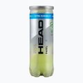 Palline da padel HEAD Padel Pro+ 3 pz. giallo 2