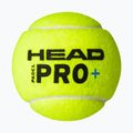 Palline da padel HEAD Padel Pro+ 3 pz. giallo 3