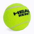 HEAD 72B Reset Polybag palline da tennis 72 pz. 3