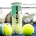 HEAD Padel One S palline da padel 3 pz. giallo 2