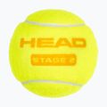 Palline da tennis per bambini HEAD Stage 2 3 pezzi arancione 3