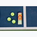 Palline da tennis per bambini HEAD Stage 2 3 pezzi arancione 4