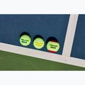 Palline da tennis per bambini HEAD Stage 2 3 pezzi arancione 5