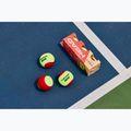 HEAD Stage 3 palline da tennis per bambini 3 pezzi rosso. 4