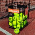 Cestino per palline da tennis HEAD con separatore 7