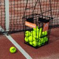 Cestino per palline da tennis HEAD con separatore 8