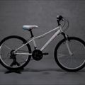 Bicicletta da bambino Romet Jolene 24 bianco/blu/rosa 14