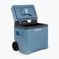 Igloo IE42 ACDC 42 l frigorifero turistico blu ghiaccio 9