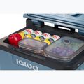 Igloo IE42 ACDC 42 l frigorifero turistico blu ghiaccio 12
