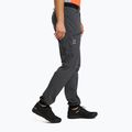 Pantaloni da trekking da uomo Haglöfs L.I.M Fuse magnetite 2