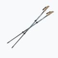 Bastoni da trekking Silva Trekking Poles Carbon Telescopic black 2