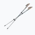 Bastoni da trekking Silva Trekking Poles Alu Tele black 2