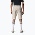 Pantaloncini Houdini Go sandstorm da uomo 2