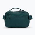 Fjällräven Kanken 2 l verde artico borsa da rene 6
