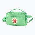 Fjällräven Kanken 663 mela menta borsa da rene 2