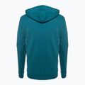 Felpa da trekking uomo Fjällräven Logo Hoodie deep sea 2