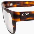 Occhiali da sole POC Want tartaruga marrone/marrone/argento a specchio 5