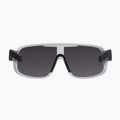 Occhiali da sole POC Aspire argentite silver/clarity define silver 3