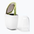 Occhiali da sole POC Aspire lemon calcite translucent/clarity define silver 6