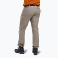 Pantaloni da trekking da uomo Pinewood Finnveden Sports Light moth brown 2