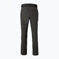 Pantaloni da trekking da uomo Pinewood Finnveden Sports Light grigio cenere 7