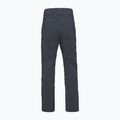 Pantaloni da sci da uomo Peak Performance M Maroon 2021 nero 2