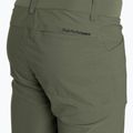 Pantaloncini da trekking Peak Performance Iconiq da uomo con ago di pino 4