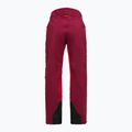 Pantaloni da sci da donna Peak Performance Vislight GTX C-Knit 3L vertical zenith/tech burgundy 7