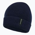 Cappello invernale per bambini Didriksons Buz Beanie navy