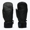 Guanti da sci Peak Performance Leather Hipe Solarcore Insulated Mitten black