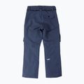 Pantaloni da snowboard Colourwear Flight navy da uomo 11