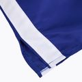 Pantaloncini da boxe in raso Cleto Reyes da uomo blu/bianco 4