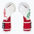 Cleto Reyes Guanti da boxe in velcro rosso/bianco verde rosso 4